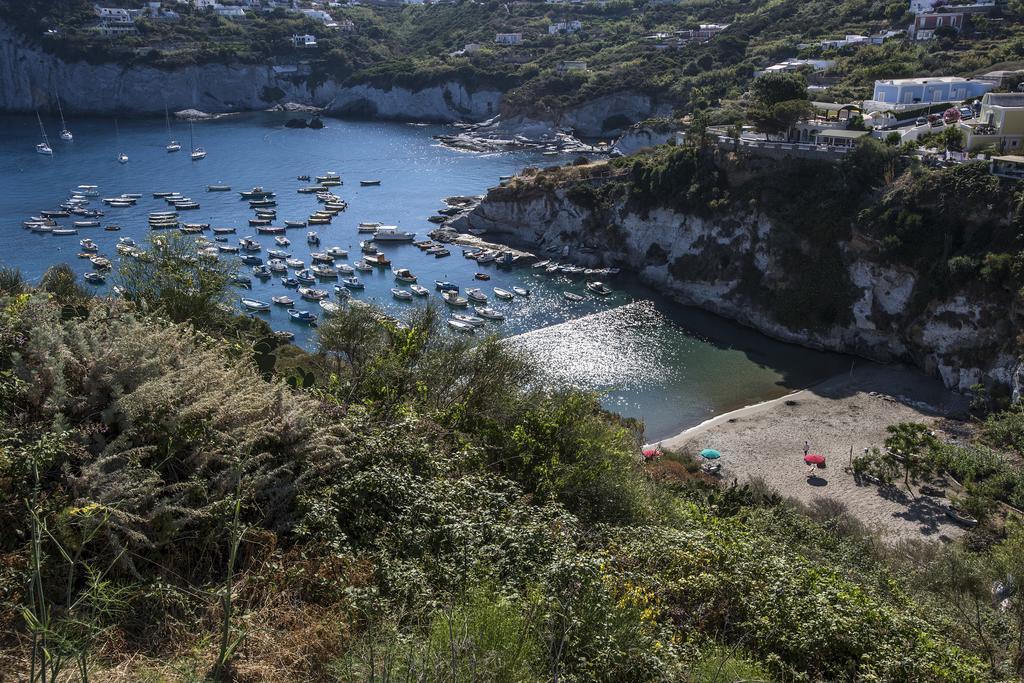 Magi - Appartamenti Maga Circe Ponza Bagian luar foto